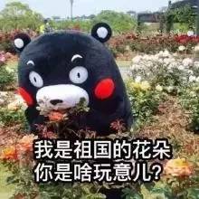 做微商护肤品爆款,微信微商护肤的套路