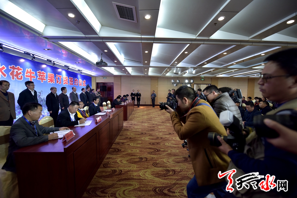 天水花牛苹果顺丰专场,天水花牛苹果发货现场