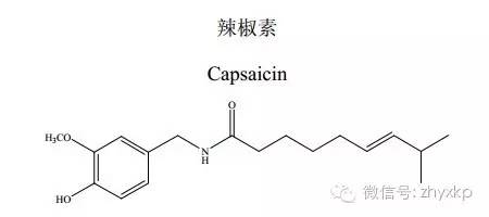 吃辣椒感觉舒服什么原因,吃辣椒反而肚子舒服了