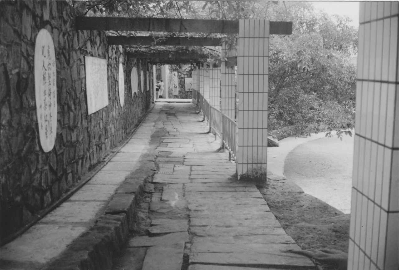 北碚水土好的小学,重庆北碚水土新建小学