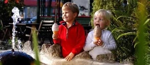 在新西兰哪些食物不用花钱,在新西兰卖冰激凌