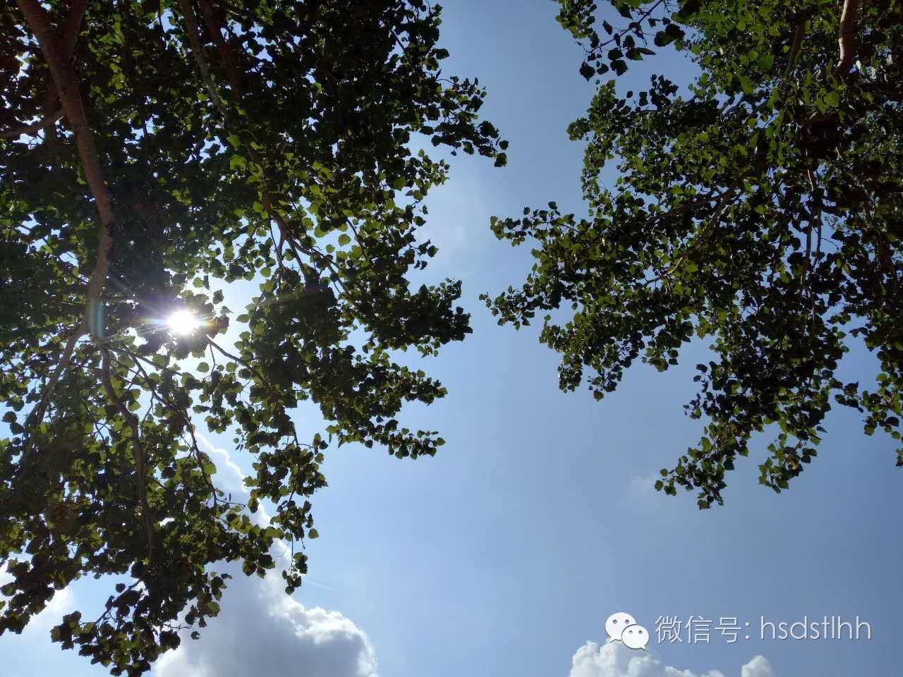 攻略|教你如何在师大刷出SSR