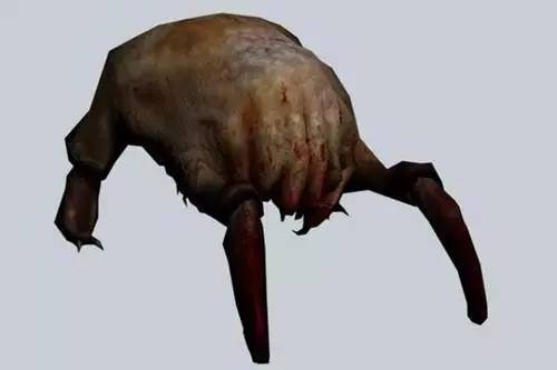 男子吃脑虫入侵病逝,深圳男子被食脑虫入侵死亡