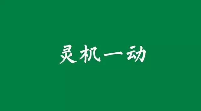 灵机一动36集全,灵机一动全集完整版