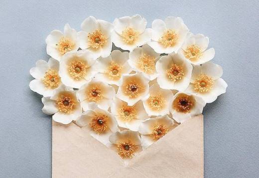 教资面试必背的十大热点,教资面试试讲的各类模板