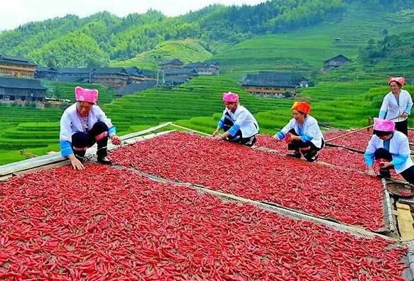 广西最有影响力的7个县,广西优秀的学习榜样