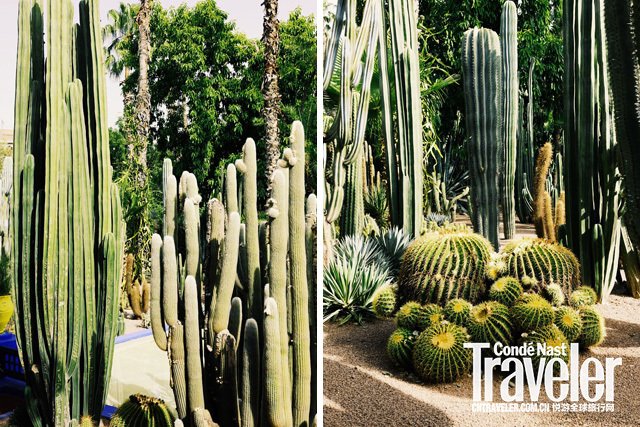 马拉喀什天气,马拉喀什有多迷人