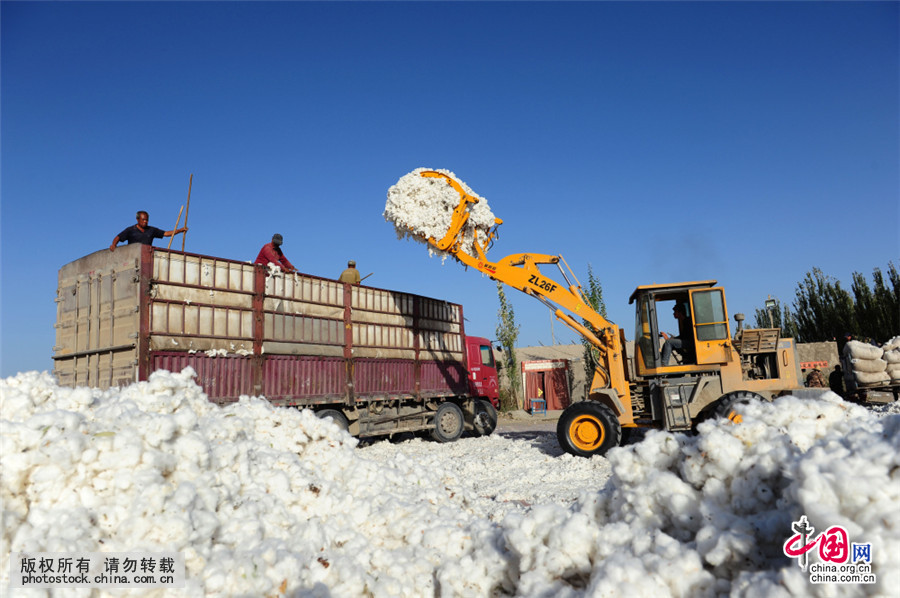 新疆采棉工人血泪史,新疆采棉工大军