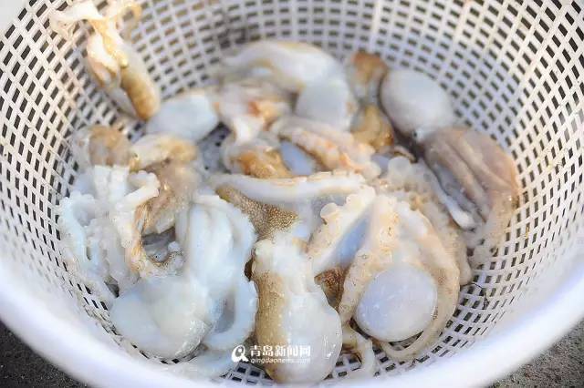 青岛海鲜一锅蒸,青岛必吃的海鲜做法