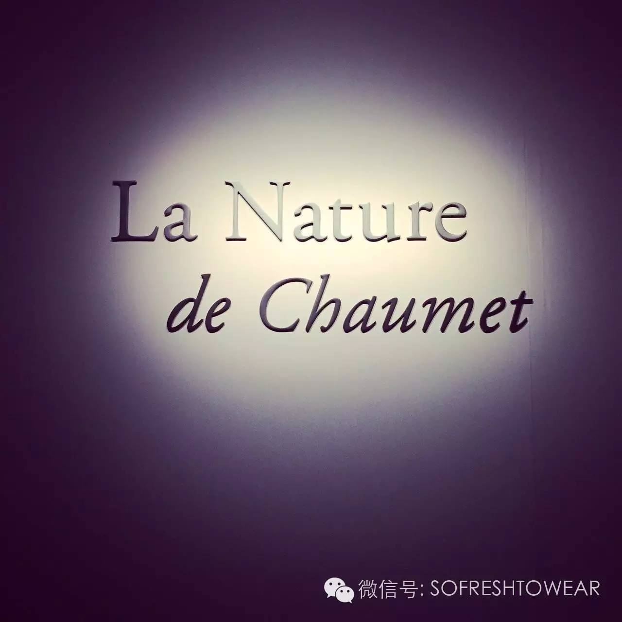 有哪些结婚用的珠宝首饰推荐 (名人们结婚定制的高级定制珠宝)