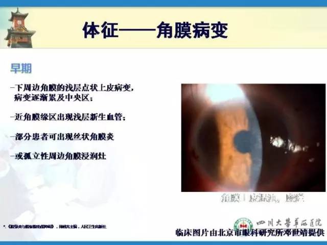 邓应平坐诊医院,邓应平成都坐诊