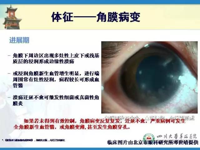 邓应平坐诊医院,邓应平成都坐诊