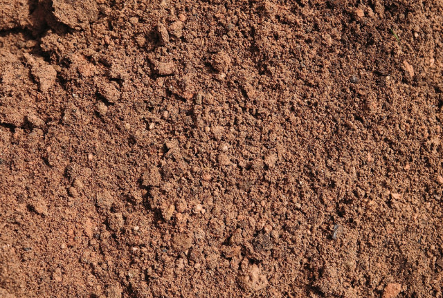 沙漠玫瑰石|放你走还是让你留