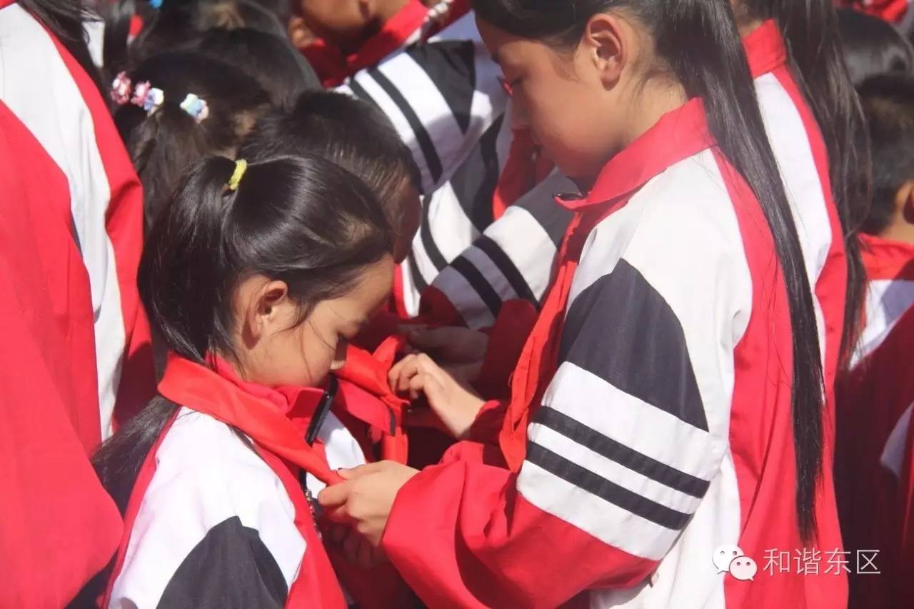 建队日入队仪式,建队日入队仪式板报