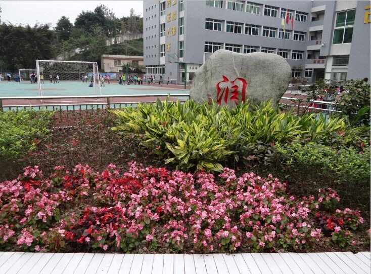 北碚水土好的小学,重庆北碚水土新建小学