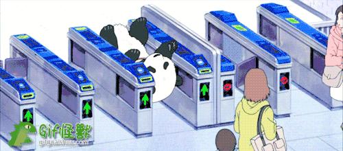 油红人|那个“不懂油的月半子”