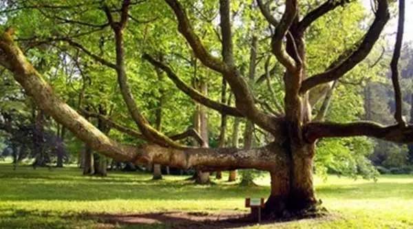 想创业的男朋友到底靠谱不,和创业的人谈恋爱是什么体验