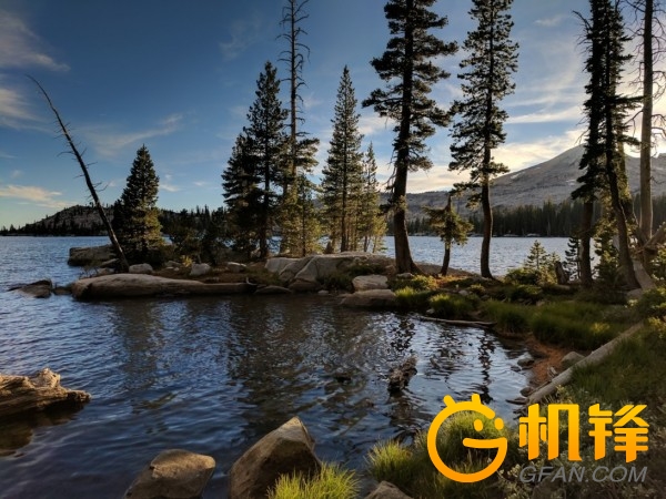 顶级相机拍摄照片的细腻程度,顶级相机变焦清晰度