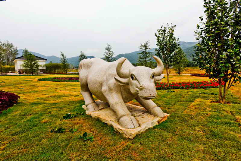 东楚风s带您提前体验阳新乡博园