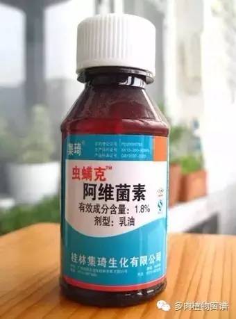 多肉虫害各种图解,多肉各种病虫害对照图