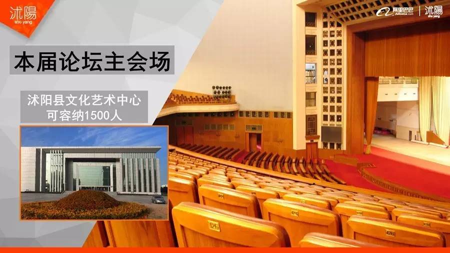 全国淘宝村峰会,曹县淘宝村高峰论坛