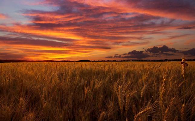 要不要给孩子培养各种兴趣班,要不要培养孩子艺术