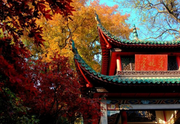 长沙的秋天去哪了,长沙秋天适合去的地方