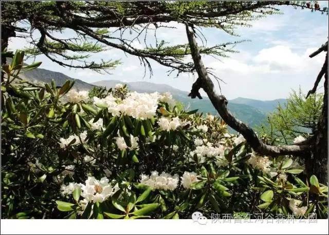 9月去红河怎么玩,国庆节云南红河适合去哪旅游