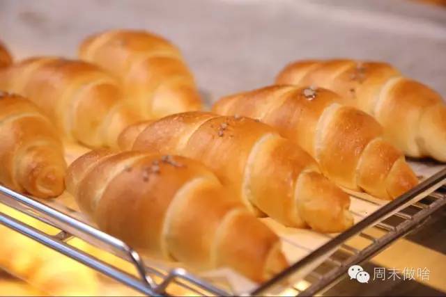 厉害了!魔都这条路上的面包比Farine好吃，梧桐比武康路还美