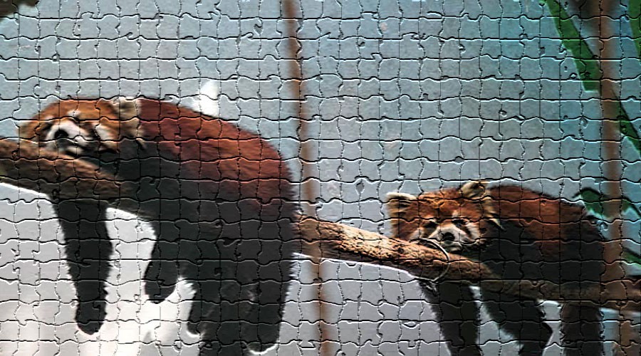 保险公司兜底政策,保险公司兜底