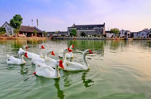 免费带你游景区,免费送住宿的景点