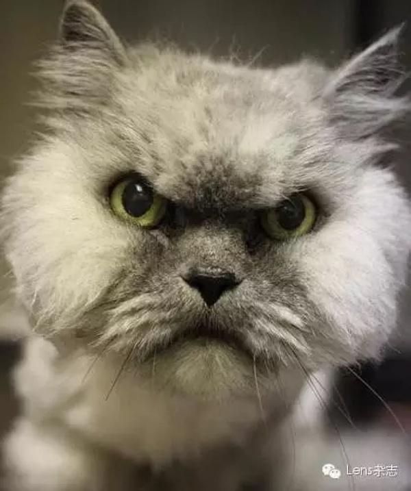 豆瓣日记:为什么你总是对男朋友不满意？