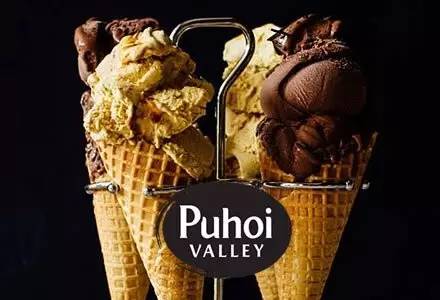 在新西兰哪些食物不用花钱,在新西兰卖冰激凌