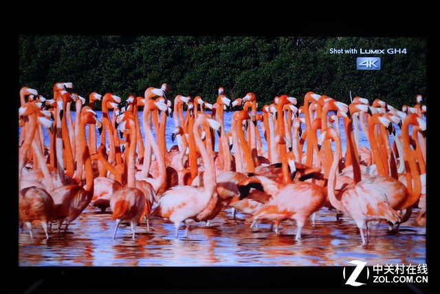 康佳a55u电视灰屏,康佳电视a55u怎么样