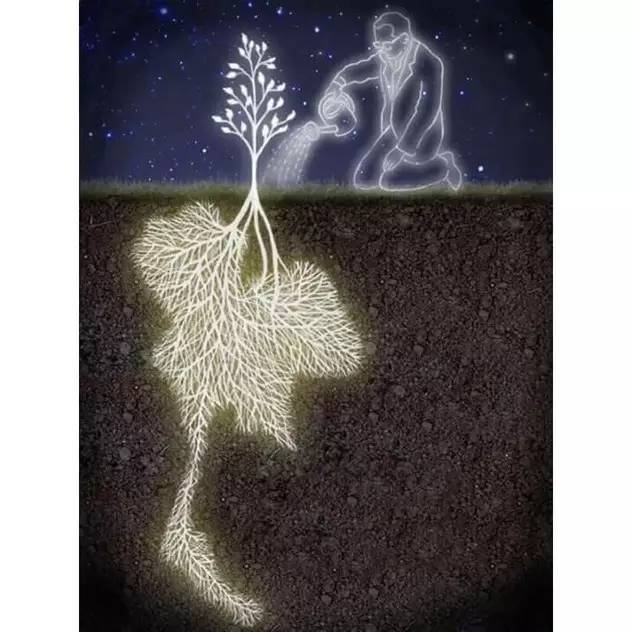 泰国国王去世是哪一年,泰国国王普密蓬去世