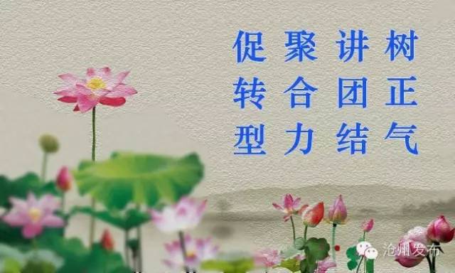 沧州公交线路调整最新,沧州两条公交线路将临时调整