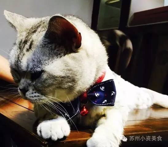 茶语絮人生丨一杯清茶一曲评弹在苏城把日子过成诗的人气茶馆√起来！