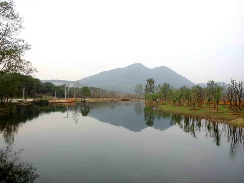 东楚风s带您提前体验阳新乡博园