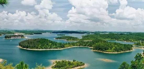 广西最有影响力的7个县,广西优秀的学习榜样