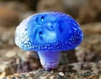 疼痛!蓝瘦!香菇!镇痛专家周六等你来!