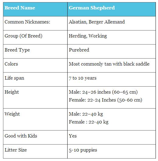 姿势|海关首次境外选犬，为何挑的是它？