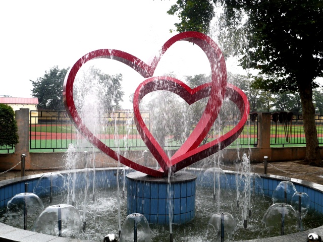 国际港务区有什么好的公办初中吗,国际港务区哪个小学最好