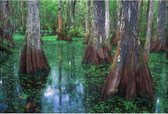 美国50大州排名,美国五十州排名