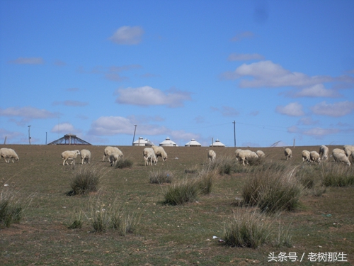 内蒙希拉穆仁草原风景视频,希拉穆仁大草原和内蒙古大草原