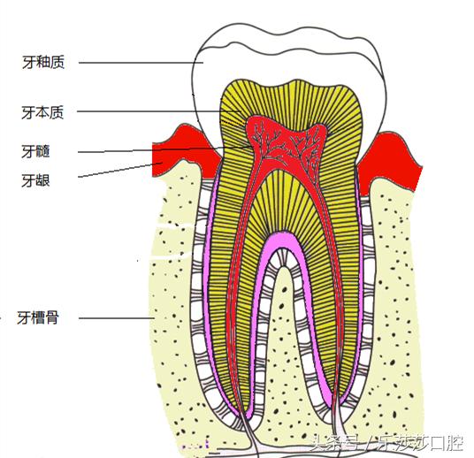 一根针扎进眼珠里会怎么样,一根针放进什么地方容易融化