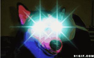 还记得当年的Q-Zone吗？十年前你的QQ空间里有什么？