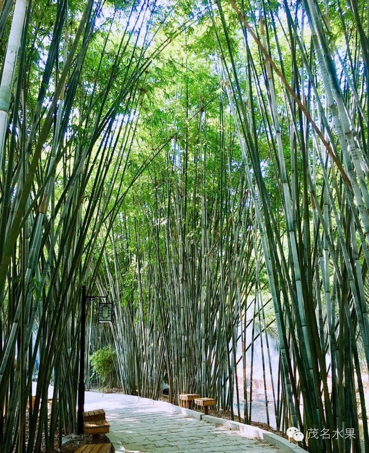 秋天如约而至,秋天如期到来