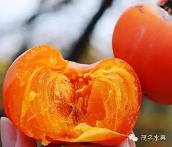 秋天如约而至,秋天如期到来