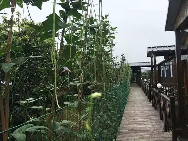 秋天就该送自己一场旅行，苏州最全“采橘攻略”先给你！