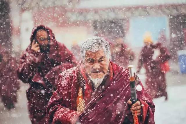 冬季到雪村来看雪,冬季到雪乡去看雪